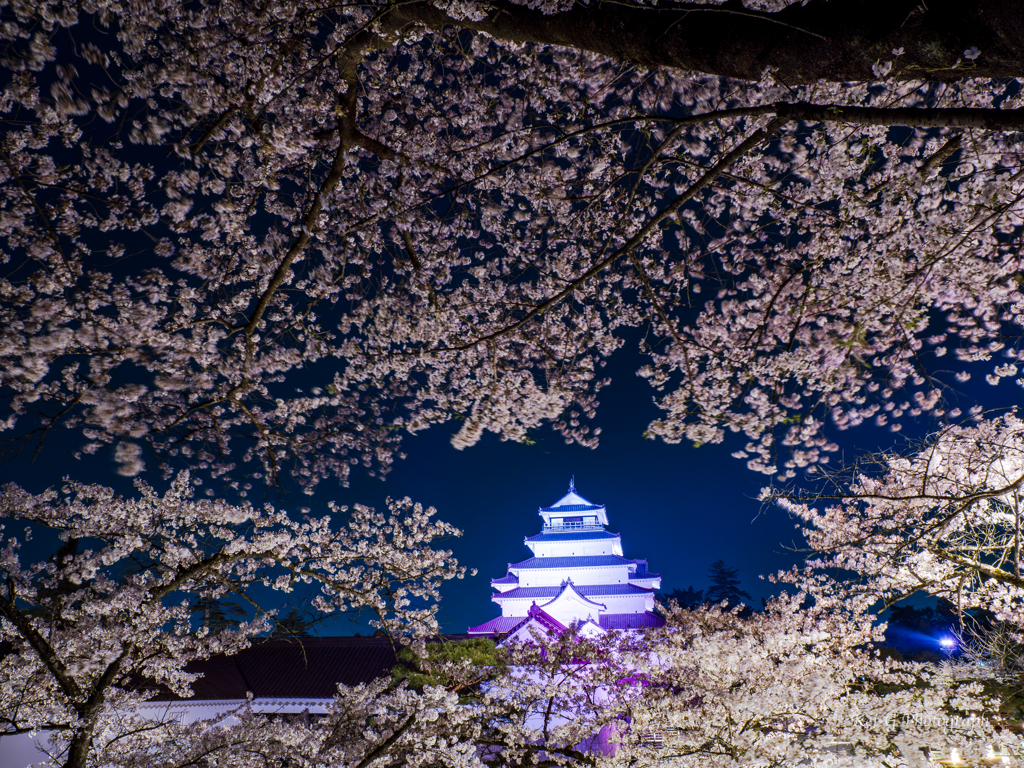 鶴ヶ城夜景