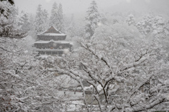 雪にかすむ円蔵寺