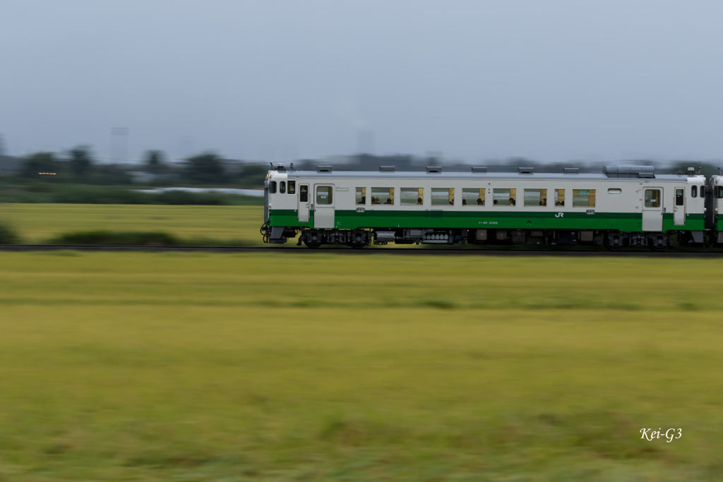 風になって