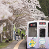 小さな駅の春