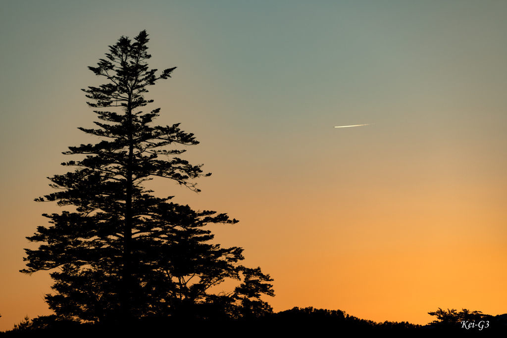 夕暮れ、夕焼け、飛行機ひとつ。