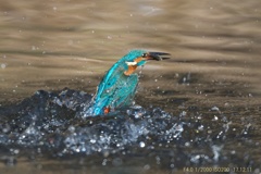 IMG_8850