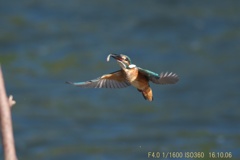 IMG_5708