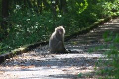 愛川公園にて#1