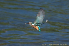IMG_5706