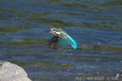 IMG_5705