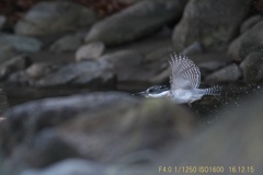IMG_6172