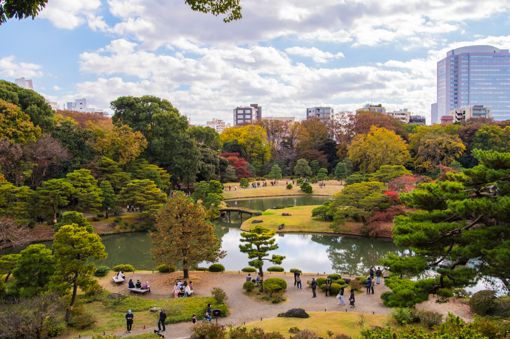 六義園　藤代峠から