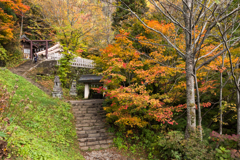 戸隠神社