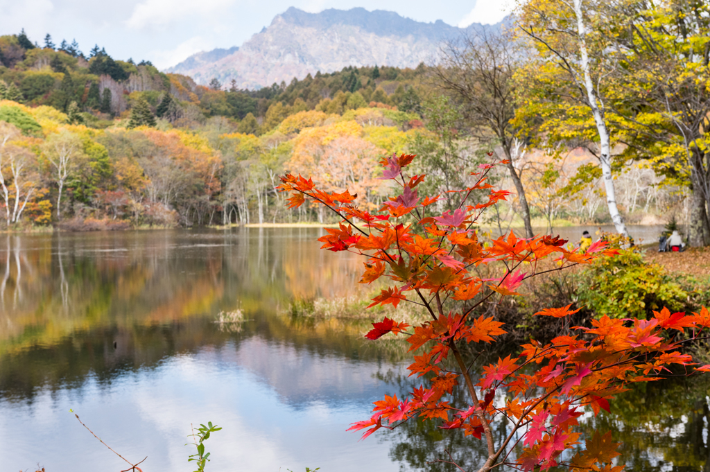 千鳥ヶ池