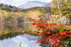 千鳥ヶ池
