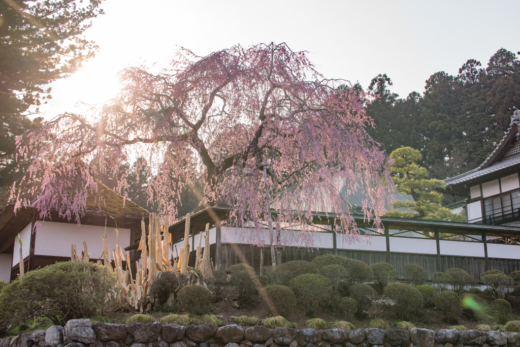 20180328-DSC01983