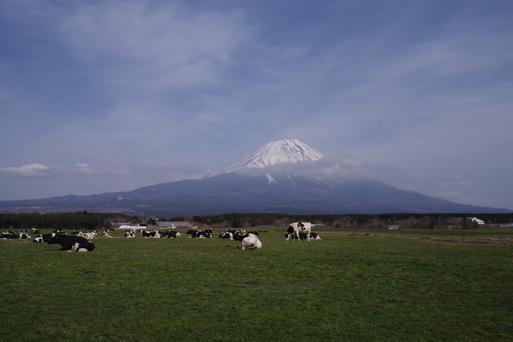 牧場