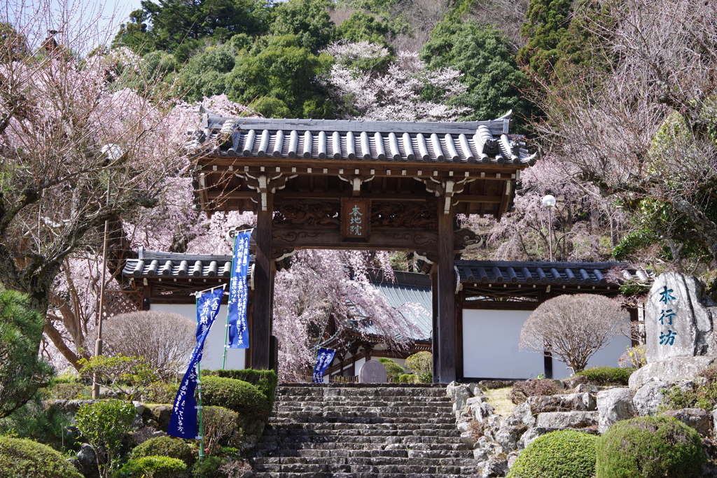本行坊