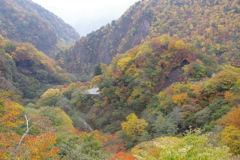 いろは坂