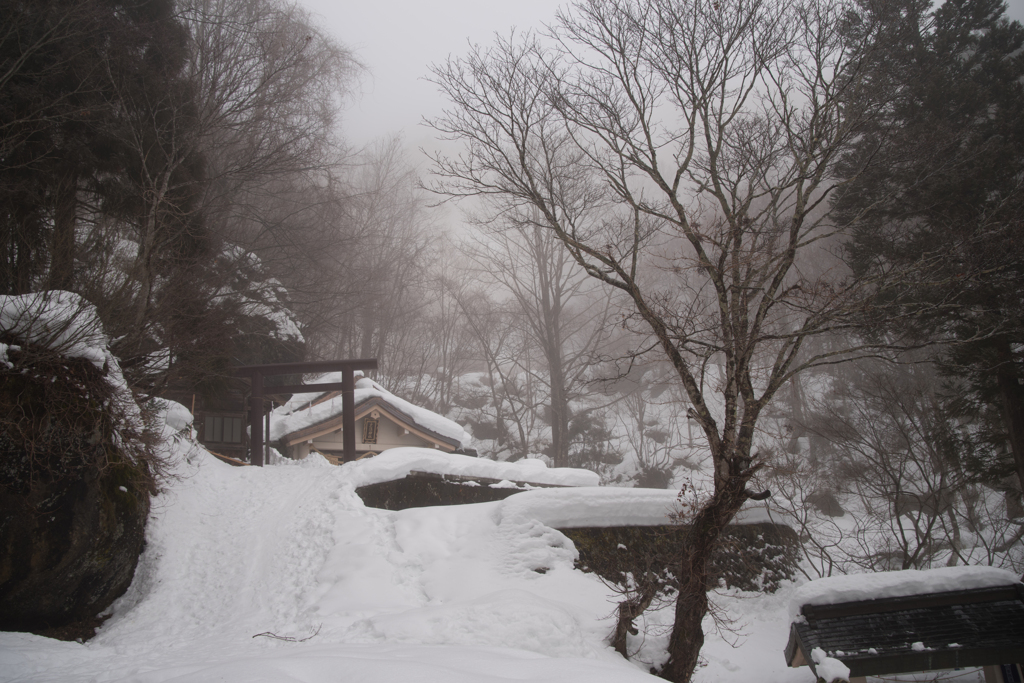 雪にうもれし