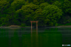 浅虫温泉の弁天鳥居