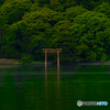 浅虫温泉の弁天鳥居