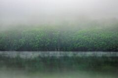 霧の蔦沼