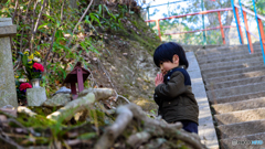 息子と参拝2