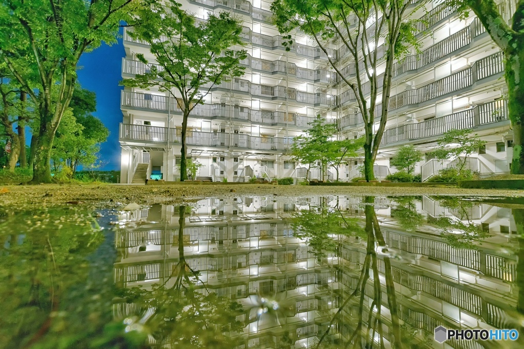 雨上がりの世界