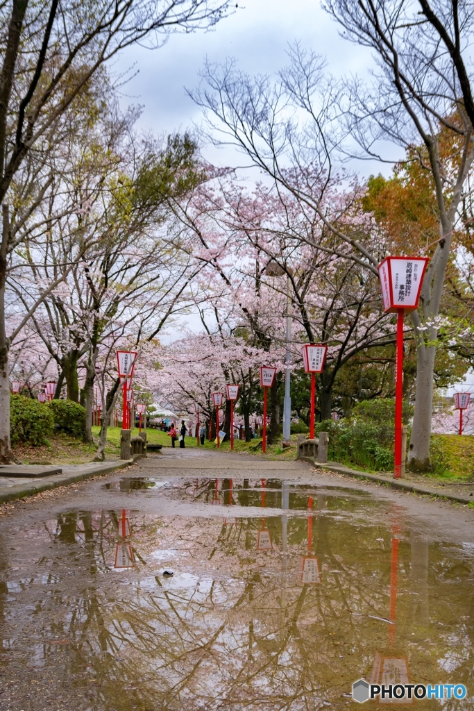 奈良県郡山お城祭り*❀٭