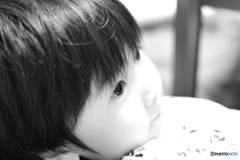 白と黒。