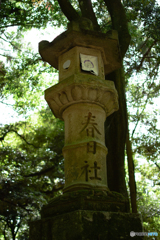 再現像5