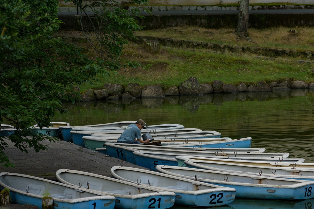 奈良公園で朝活
