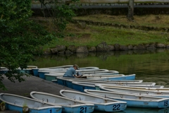 奈良公園で朝活
