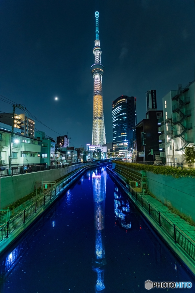 月とツリーとリフレクション