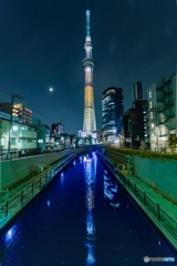 月とツリーとリフレクション