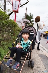 奈良県郡山お城祭り*❀٭