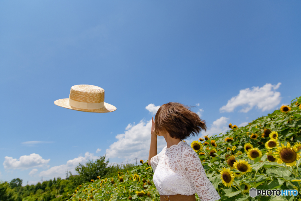 風のいたずら