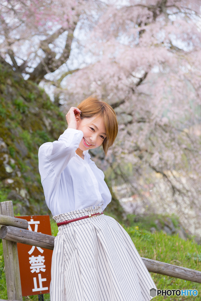 又兵衛桜とポートレート