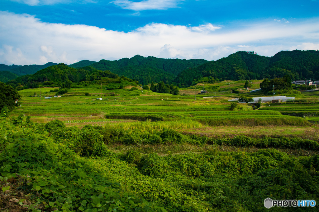 飛鳥村の風景