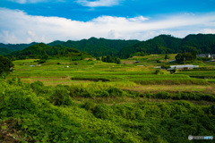 飛鳥村の風景