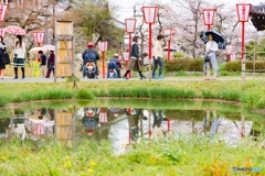 奈良県郡山お城祭り*❀٭