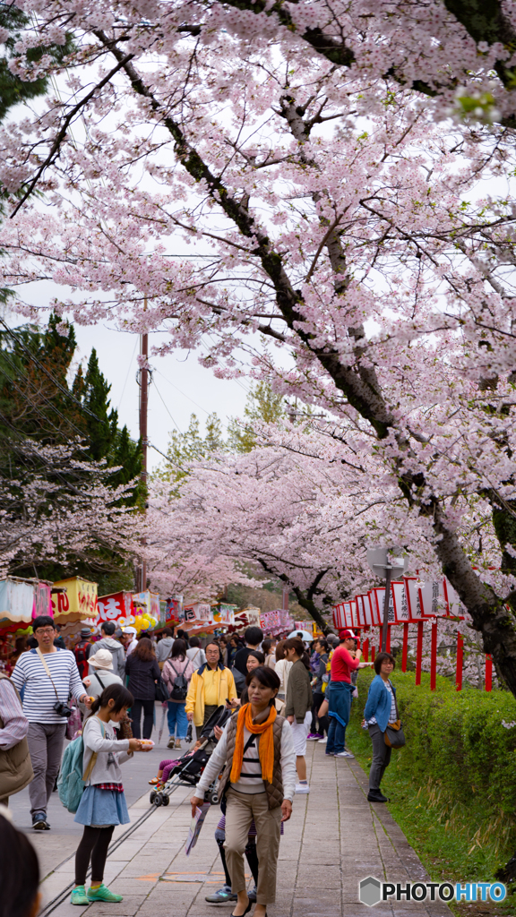 奈良県郡山お城祭り*❀٭