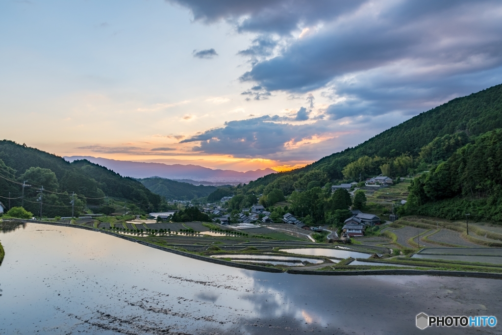 水田と夕日と。