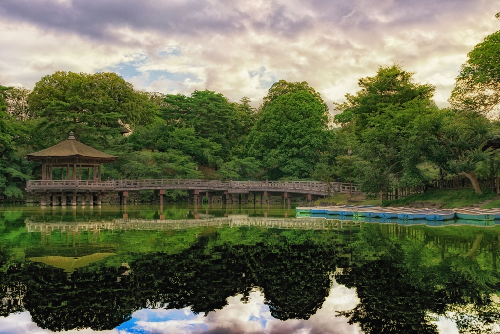 奈良公園にて朝活