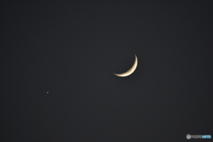 月と金星