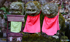 信貴山寅祭り