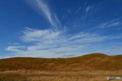 秋の空