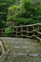 奈良公園にて朝活