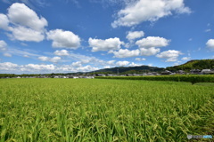 秋晴れの奈良盆地②