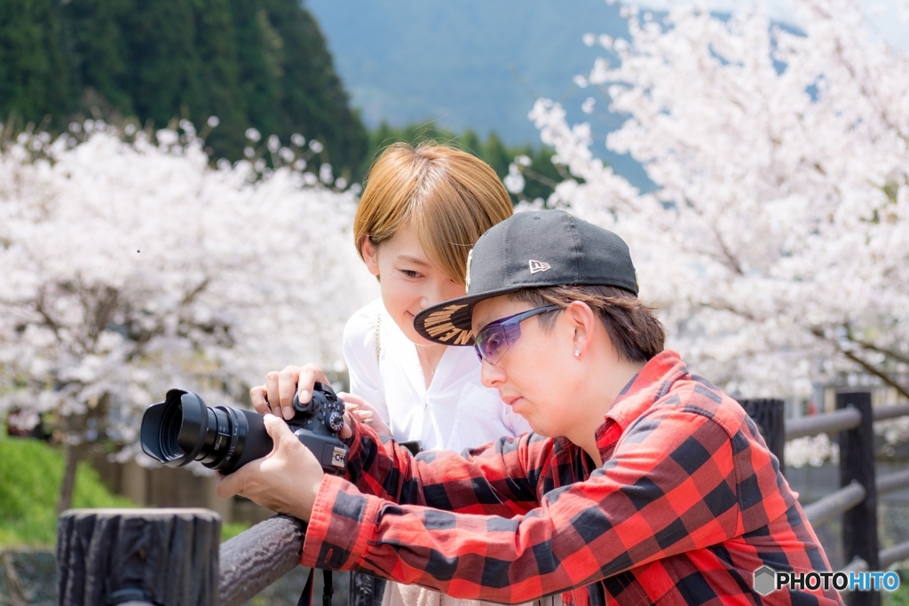 桜ポートレート