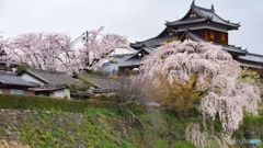奈良県郡山お城祭り*❀٭