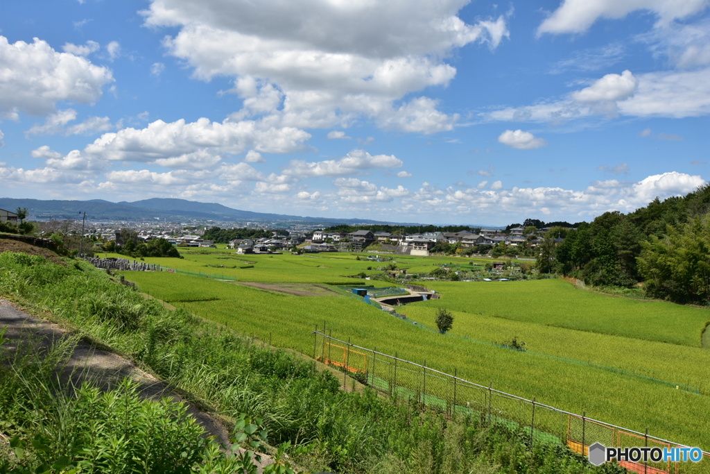 秋晴れの奈良盆地