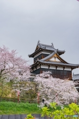奈良県郡山お城祭り*❀٭